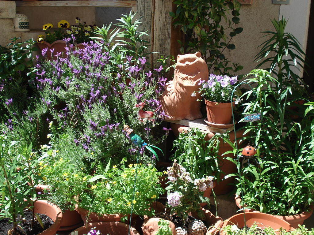 Abruzzo Segreto Bed and Breakfast Navelli Eksteriør billede