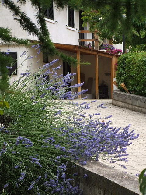 Abruzzo Segreto Bed and Breakfast Navelli Eksteriør billede